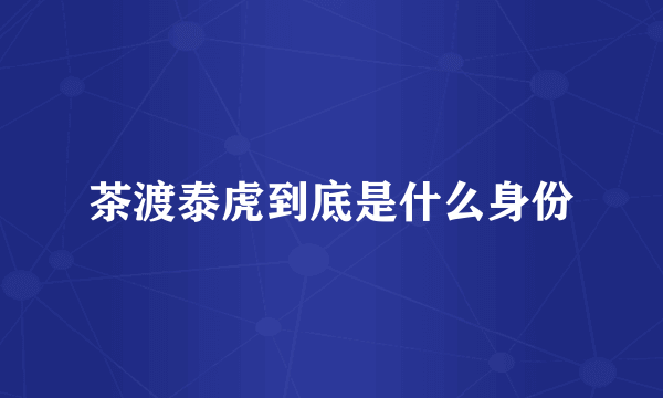 茶渡泰虎到底是什么身份