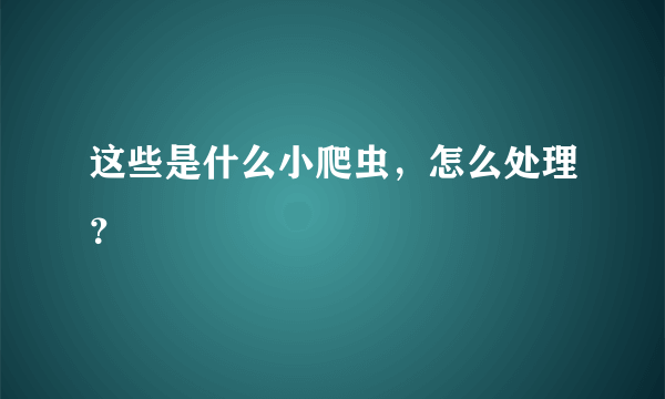 这些是什么小爬虫，怎么处理？