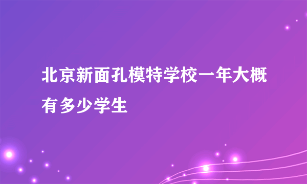 北京新面孔模特学校一年大概有多少学生