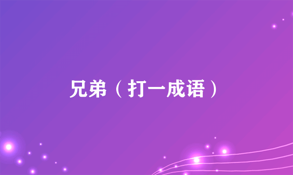 兄弟（打一成语）