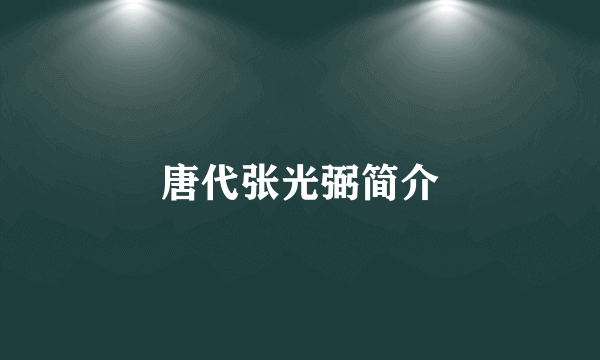 唐代张光弼简介