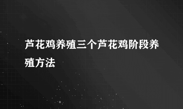 芦花鸡养殖三个芦花鸡阶段养殖方法