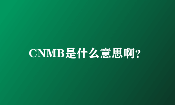 CNMB是什么意思啊？