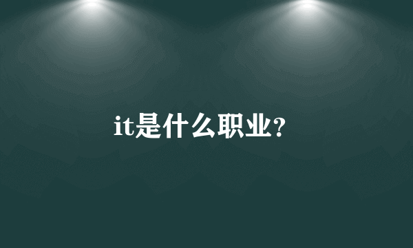 it是什么职业？