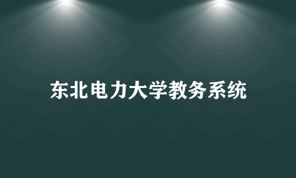 东北电力大学教务系统