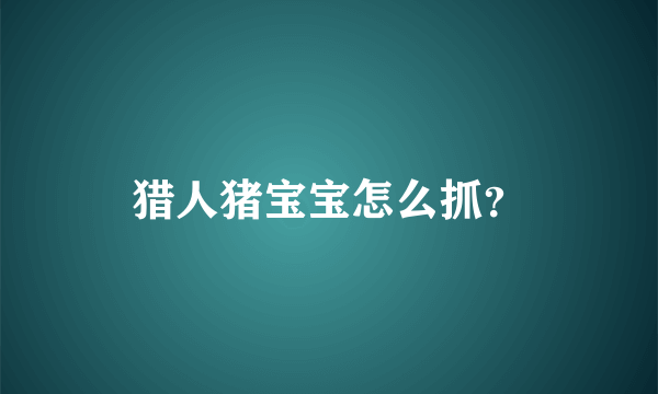 猎人猪宝宝怎么抓？