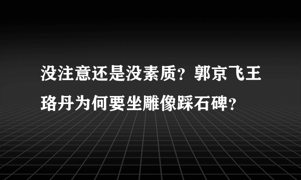 没注意还是没素质？郭京飞王珞丹为何要坐雕像踩石碑？