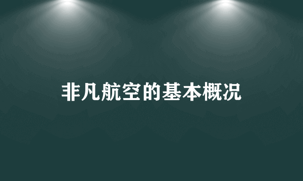 非凡航空的基本概况