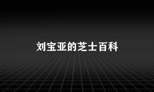 刘宝亚的芝士百科