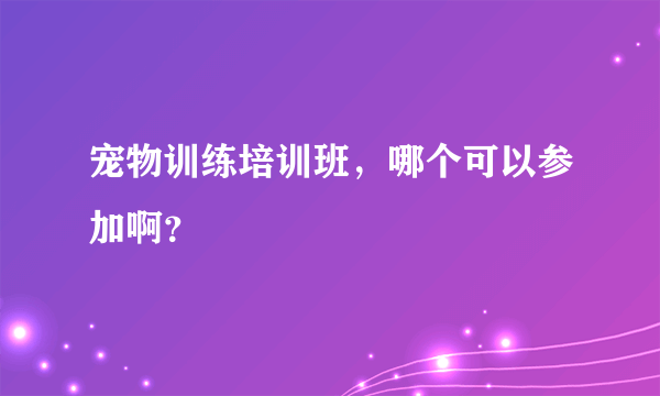宠物训练培训班，哪个可以参加啊？