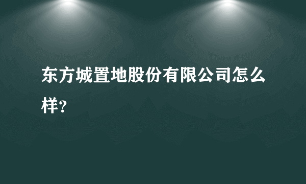 东方城置地股份有限公司怎么样？
