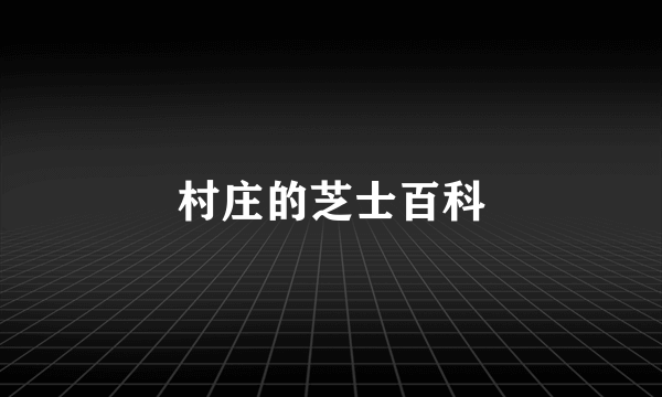 村庄的芝士百科