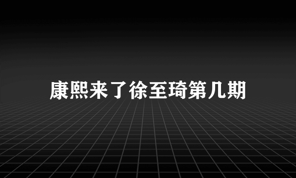 康熙来了徐至琦第几期
