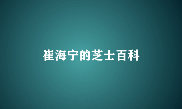崔海宁的芝士百科