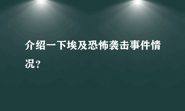 介绍一下埃及恐怖袭击事件情况？