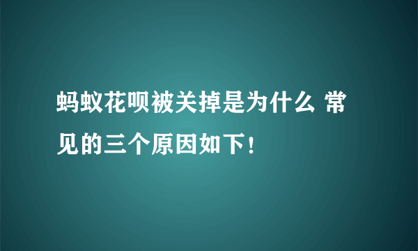 蚂蚁花呗被关掉是为什么 常见的三个原因如下！