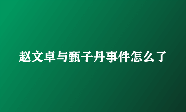 赵文卓与甄子丹事件怎么了