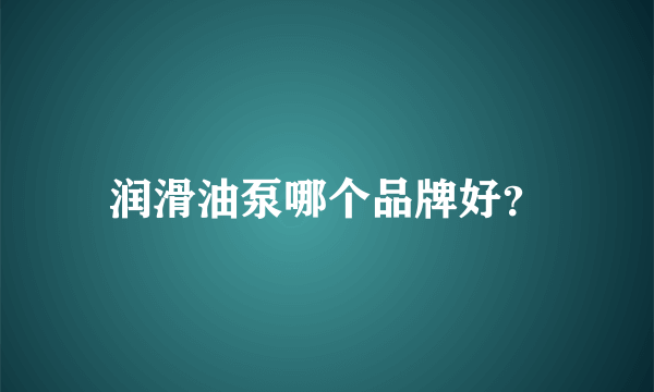 润滑油泵哪个品牌好？