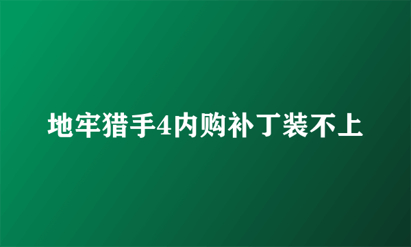 地牢猎手4内购补丁装不上