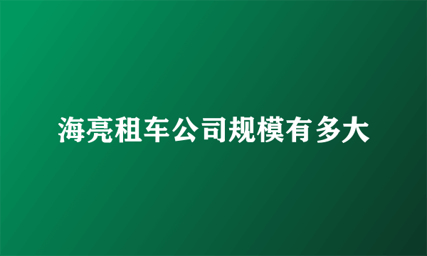 海亮租车公司规模有多大