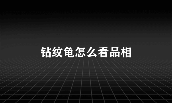 钻纹龟怎么看品相