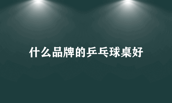 什么品牌的乒乓球桌好