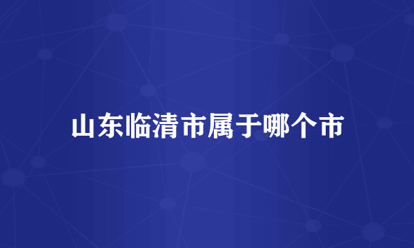 山东临清市属于哪个市