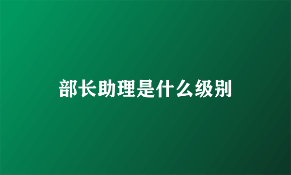 部长助理是什么级别
