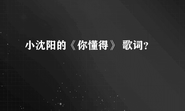 小沈阳的《你懂得》 歌词？
