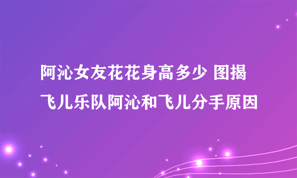 阿沁女友花花身高多少 图揭飞儿乐队阿沁和飞儿分手原因