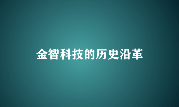金智科技的历史沿革