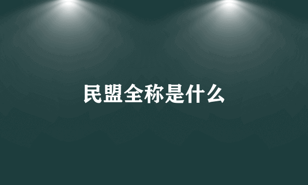 民盟全称是什么