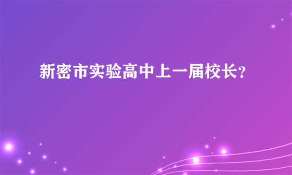 新密市实验高中上一届校长？