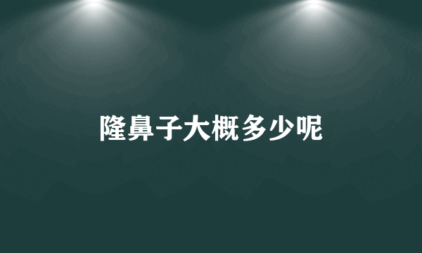 隆鼻子大概多少呢