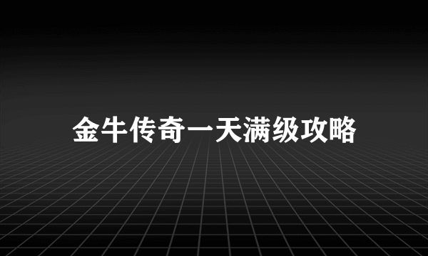 金牛传奇一天满级攻略