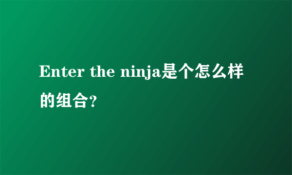 Enter the ninja是个怎么样的组合？