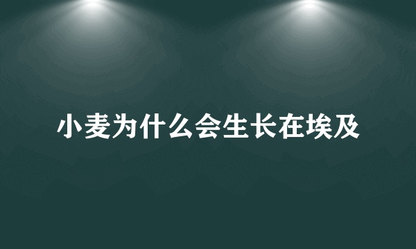 小麦为什么会生长在埃及