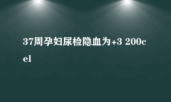 37周孕妇尿检隐血为+3 200cel