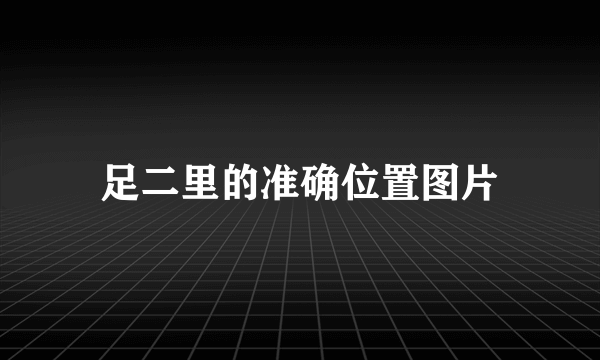 足二里的准确位置图片