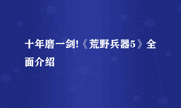 十年磨一剑!《荒野兵器5》全面介绍