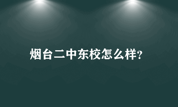 烟台二中东校怎么样？