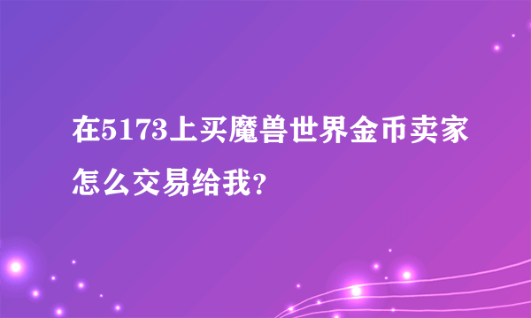 在5173上买魔兽世界金币卖家怎么交易给我？