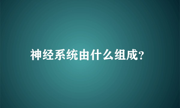 神经系统由什么组成？