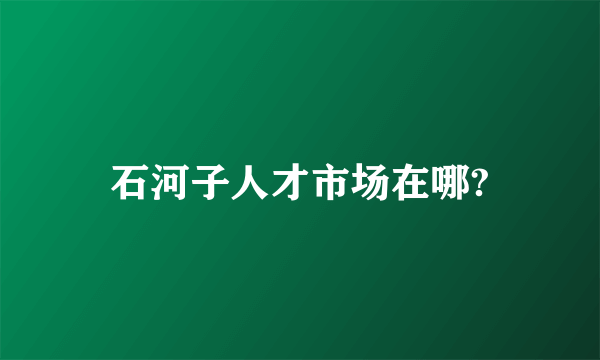 石河子人才市场在哪?