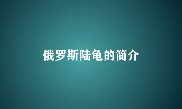 俄罗斯陆龟的简介