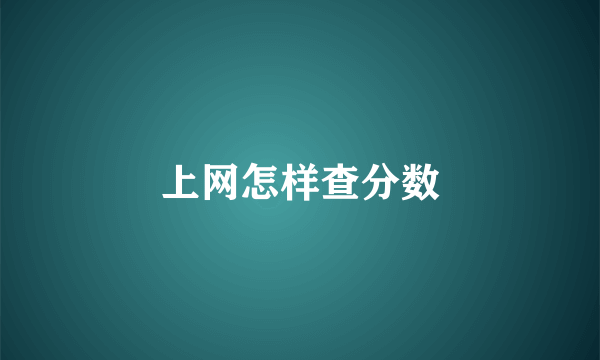上网怎样查分数