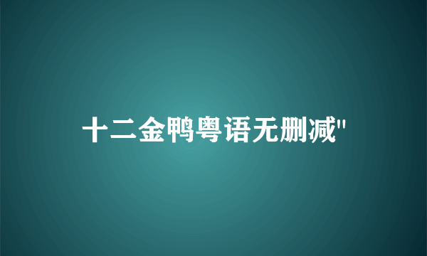十二金鸭粤语无删减