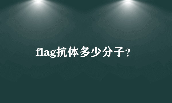 flag抗体多少分子？