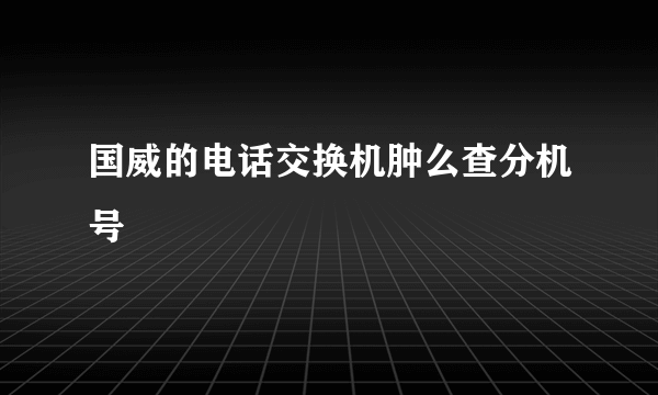 国威的电话交换机肿么查分机号