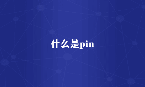 什么是pin